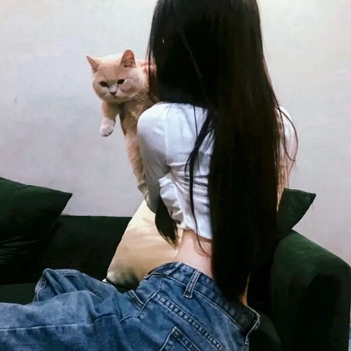 暗影王者